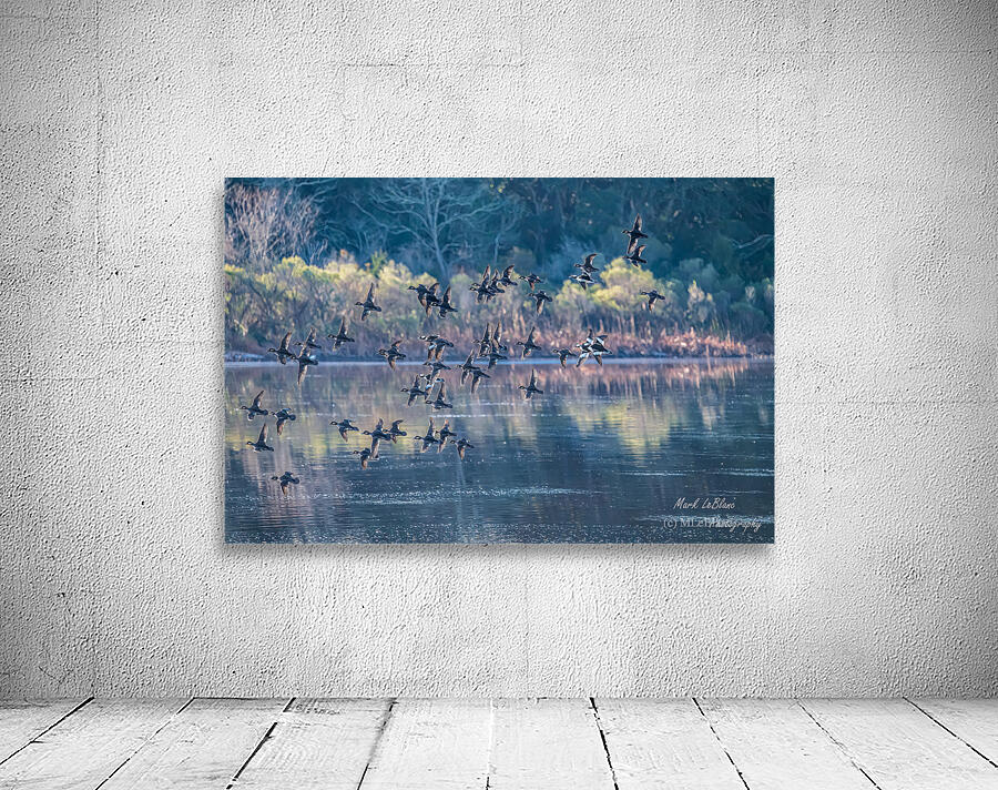 Reflections Wall Preview