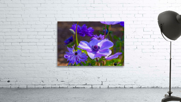 spring Wall Preview