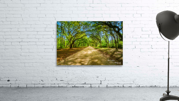 Back Roads Wall Preview