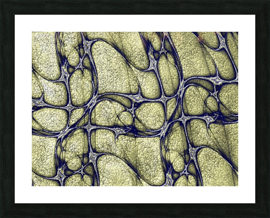 Secheresse Drought Picture Frame print