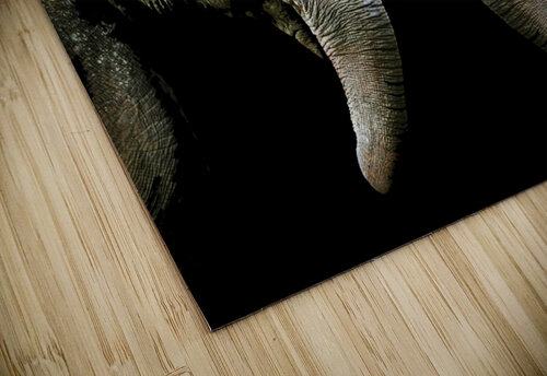 Elephant 3 Createm puzzle