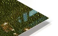 Petale Petal HD Metal print