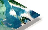 Carpes Carps HD Metal print