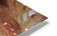 Feuillage Foliage HD Metal print