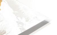 Neige Snow HD Metal print