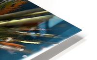 Collision HD Metal print
