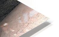 Gros plan Closeup HD Metal print