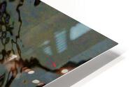 Carpes Carps 2 HD Metal print