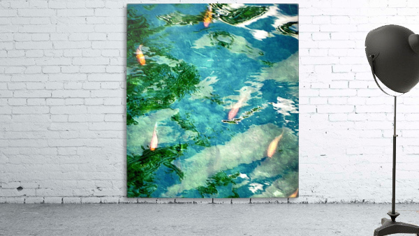 Carpes Carps Wall Preview