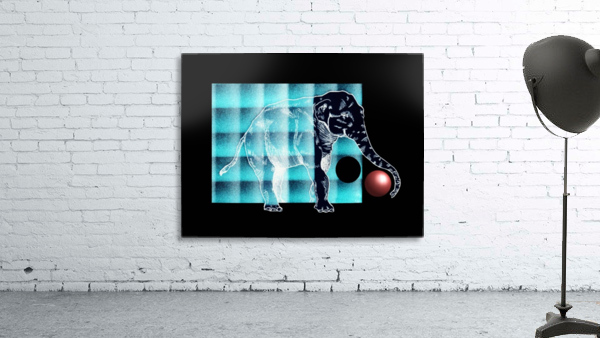 Elephant Wall Preview