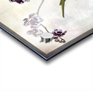 Purple orchid Acrylic print