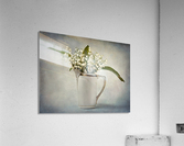 White Acrylic Print