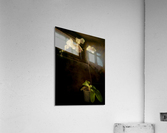 Orchid Acrylic Print
