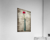 Old music Acrylic Print