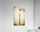 Vanishing Acrylic Print