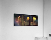 Blossoming Triptych Acrylic Print