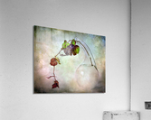 Autumnal vine composition Acrylic Print