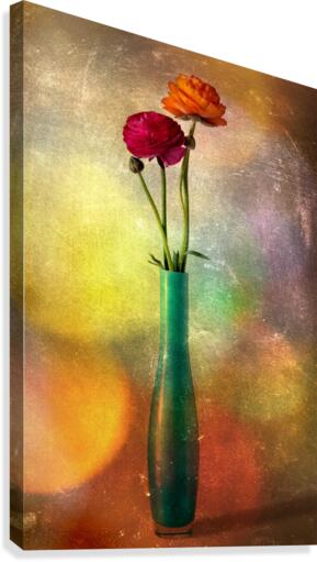 Colorfully buttercups Canvas Print