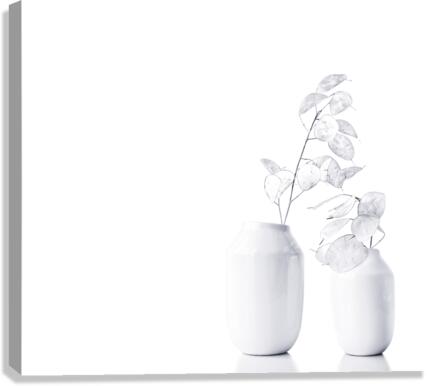 White minimalism Canvas Print
