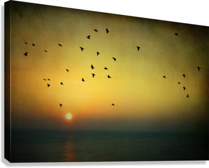 Flight at sunrise Canvas Print