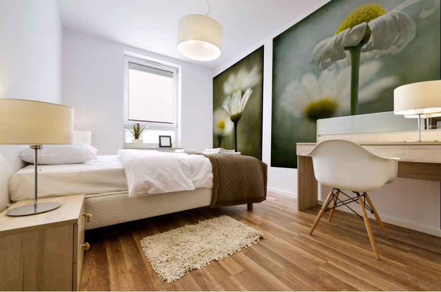 Daisies Diptych Mural print