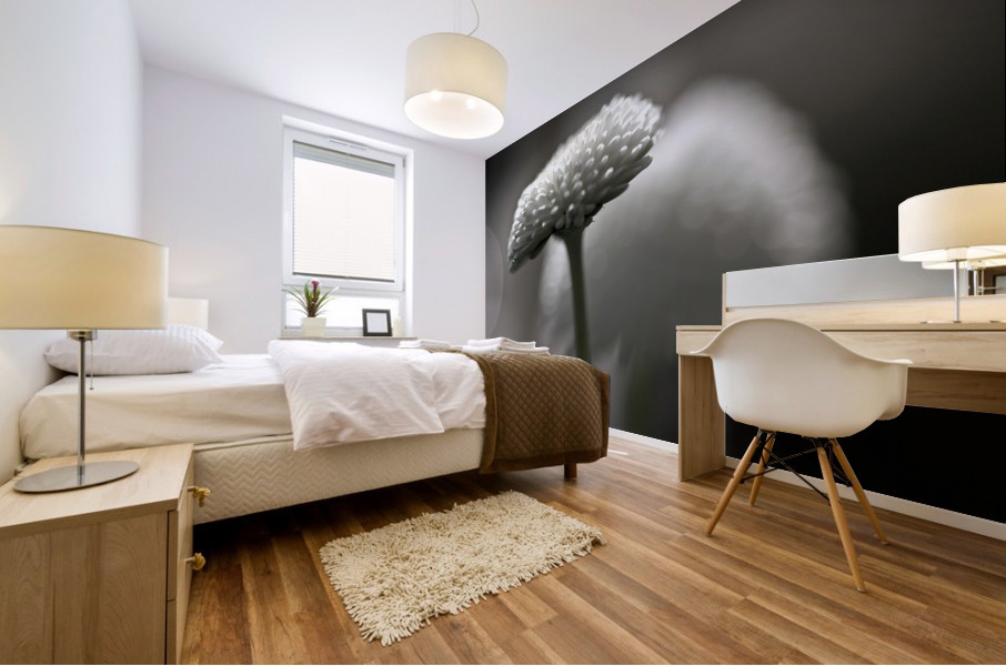 Pompom daisy Mural print