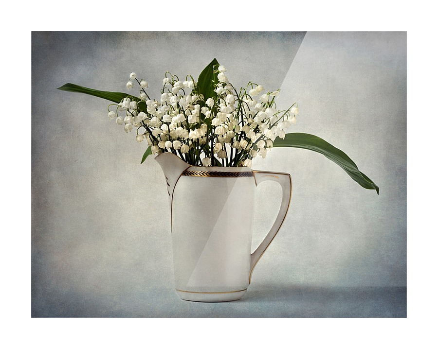 White Picture Frame print