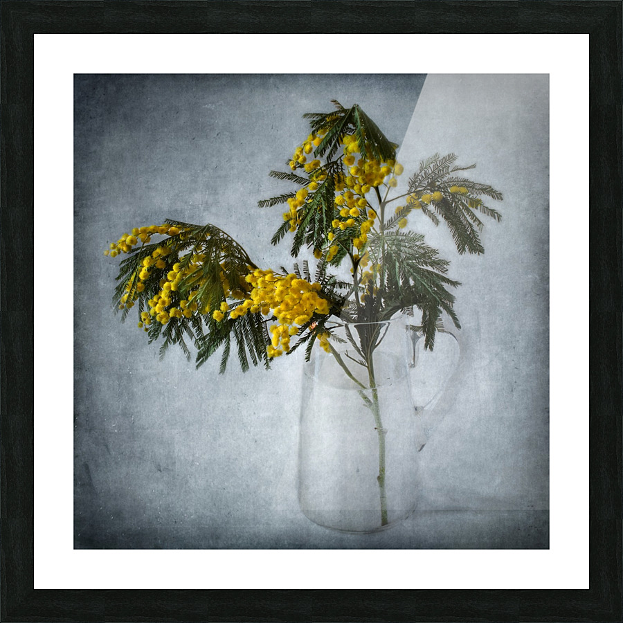 Mimosa Picture Frame print