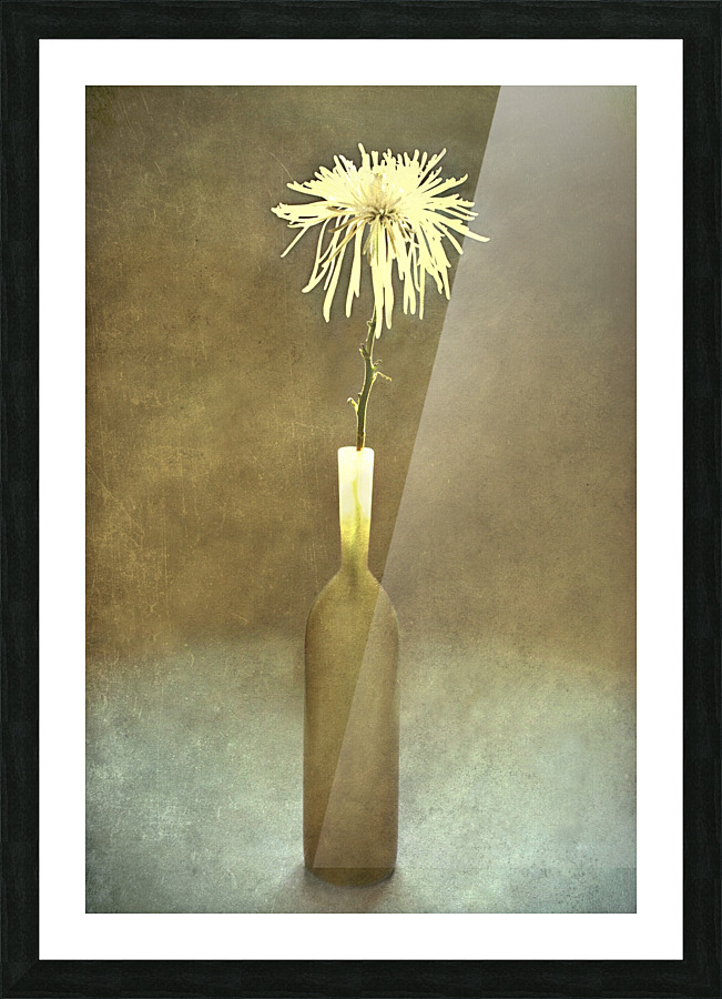 One Picture Frame print