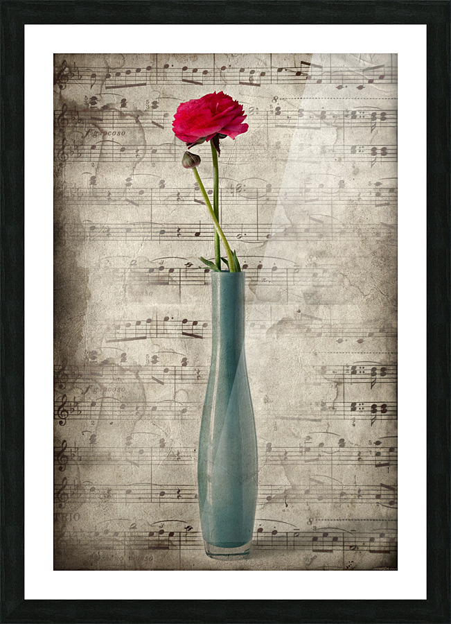 Old music Picture Frame print