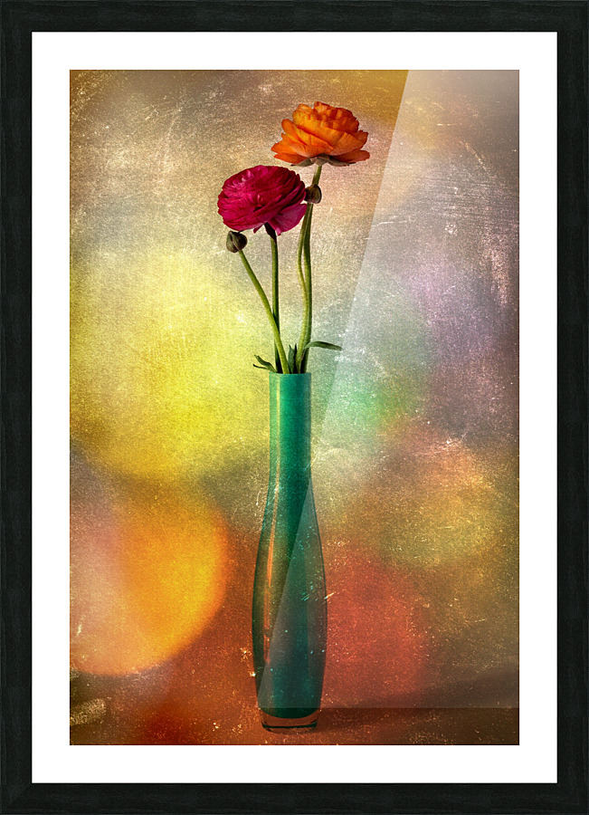 Colorfully buttercups Picture Frame print