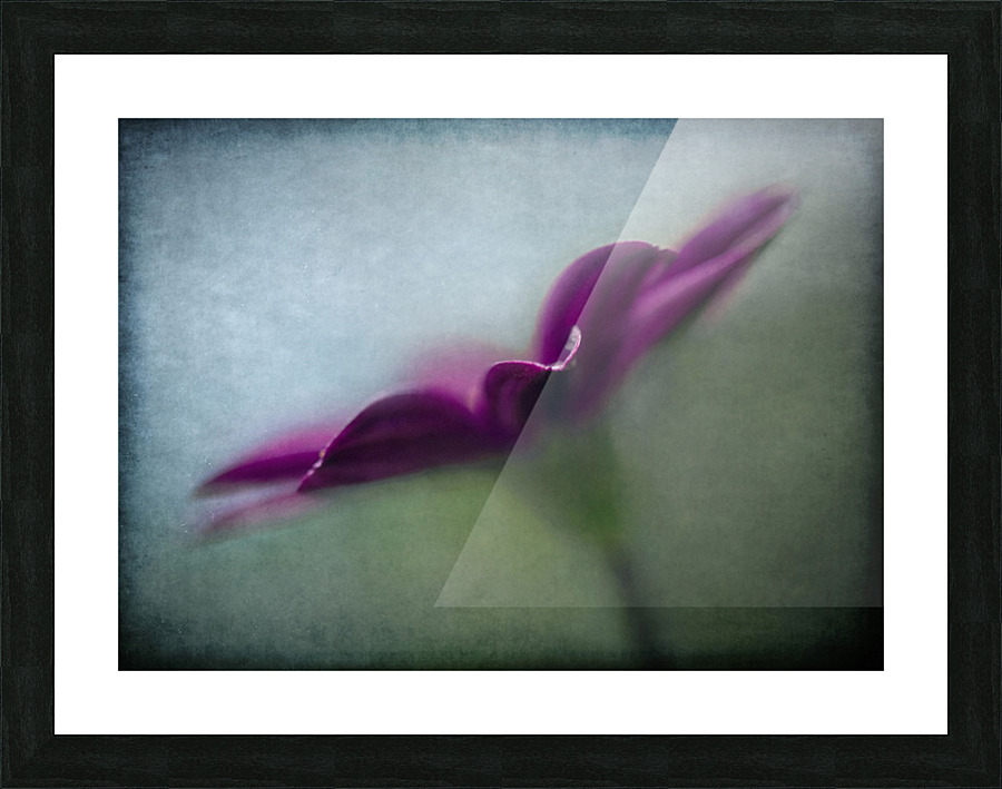 Purple wave Picture Frame print