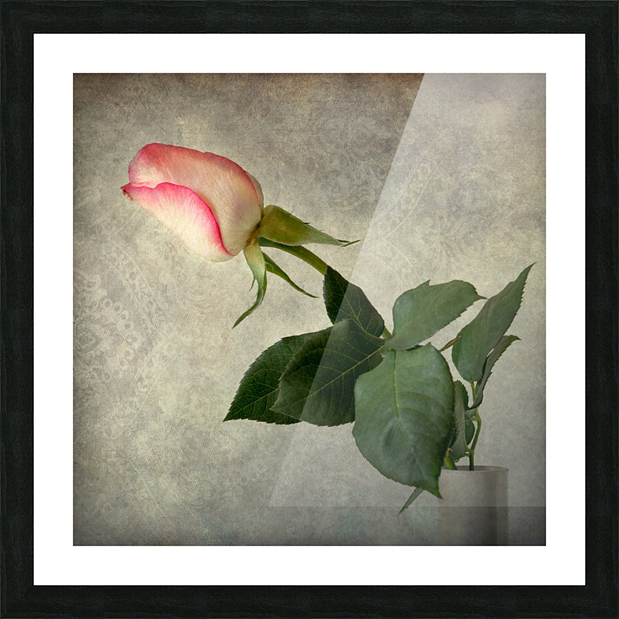 Antique rose Picture Frame print