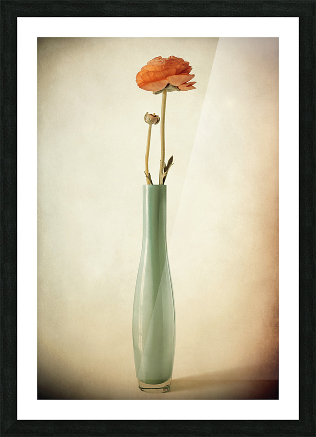 Vanishing Picture Frame print