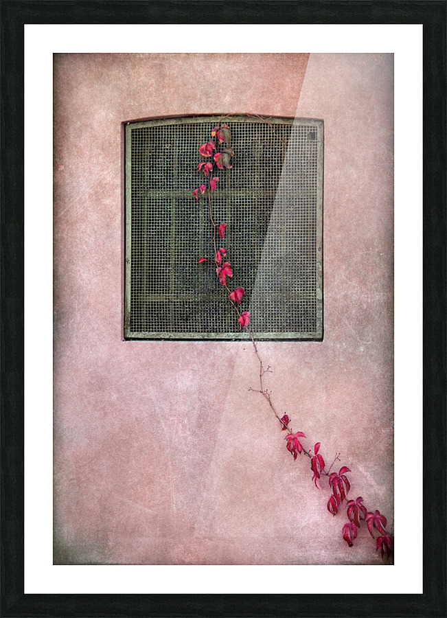 Early autumn Picture Frame print