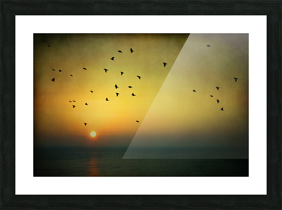 Flight at sunrise Picture Frame print