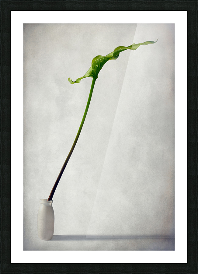 Balanced Picture Frame print