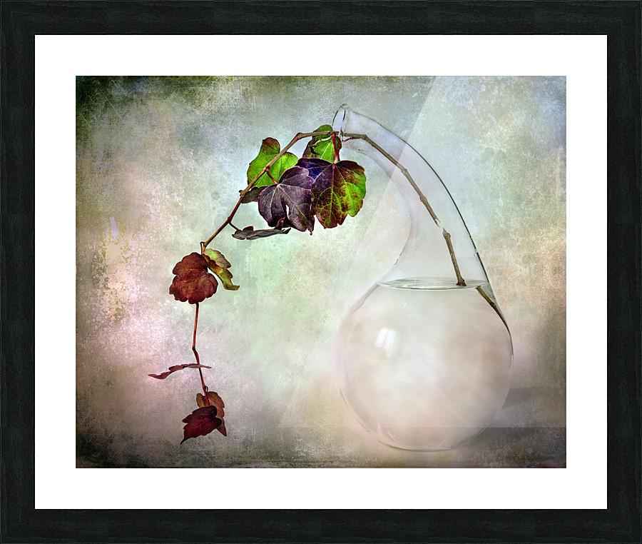 Autumnal vine composition Picture Frame print