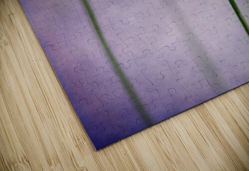 Lavenders Barbara Corvino puzzle