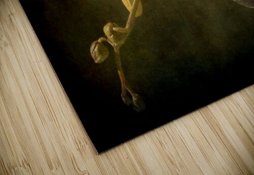 Orchid Barbara Corvino puzzle