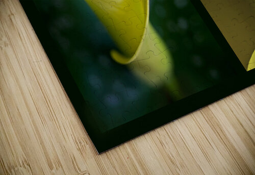 Yellow calla Triptych Barbara Corvino puzzle