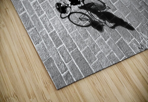 Exit Barbara Corvino puzzle