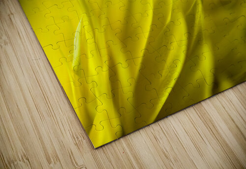 Yellow encounters Barbara Corvino puzzle