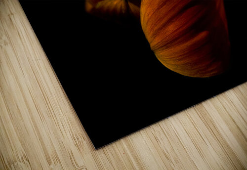 Brown velvet Barbara Corvino puzzle