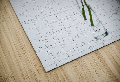 White red green Barbara Corvino puzzle