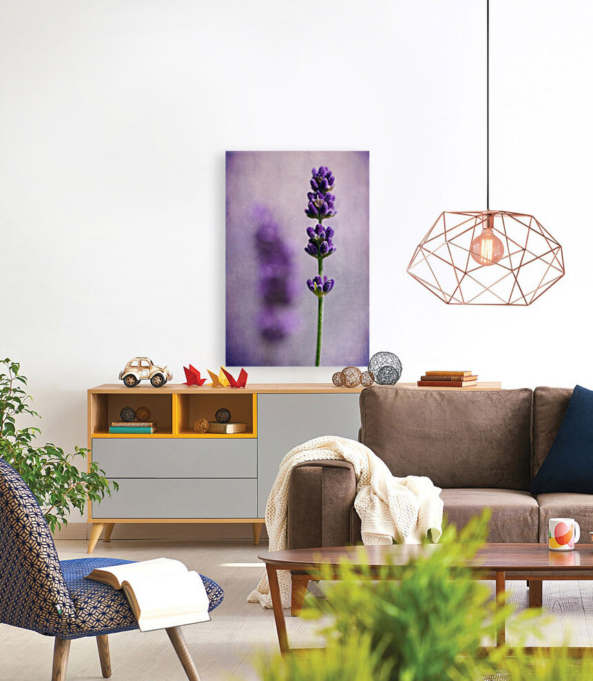 Lavender Reproduction
