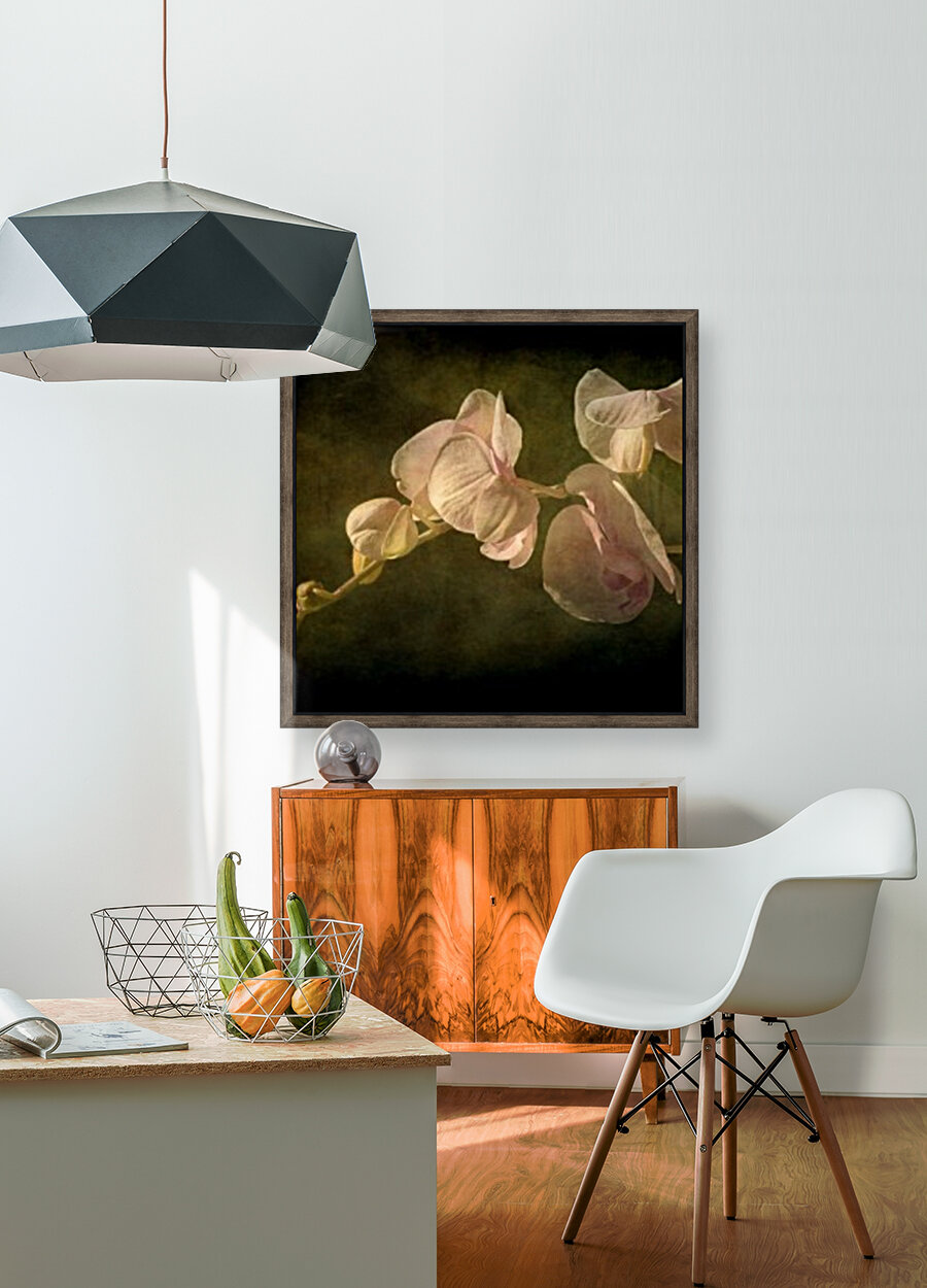 Orchid Reproduction