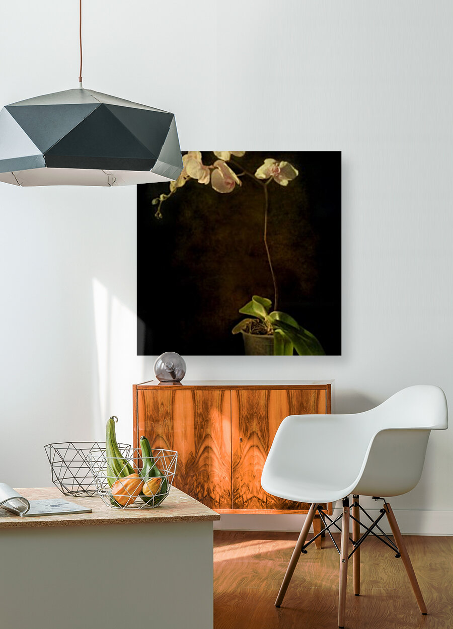 Orchid Reproduction