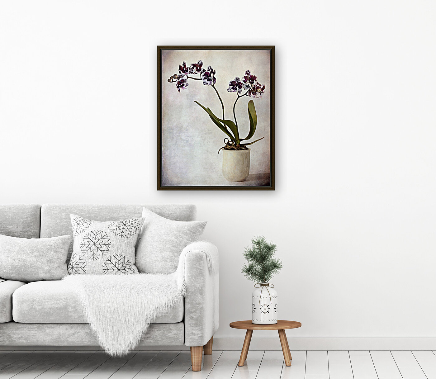 Purple orchid Reproduction