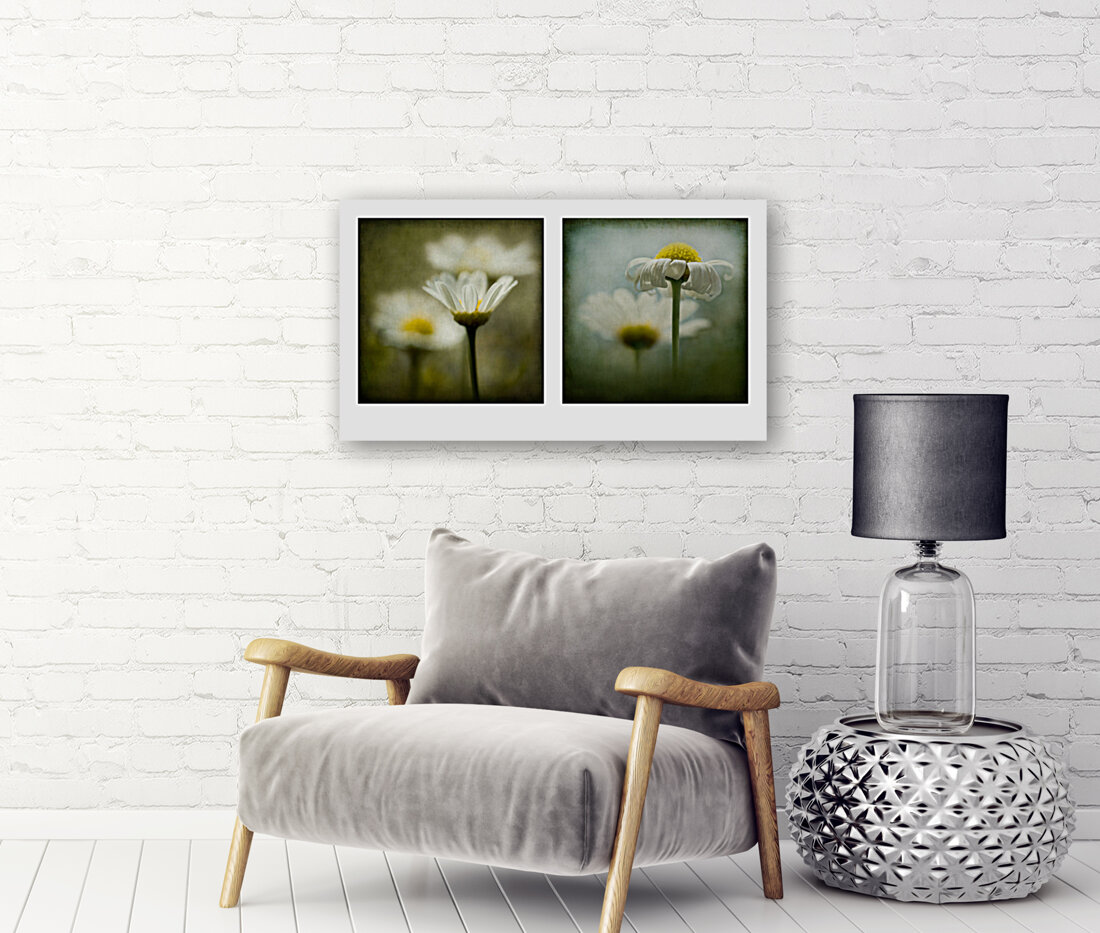 Daisies Diptych Reproduction
